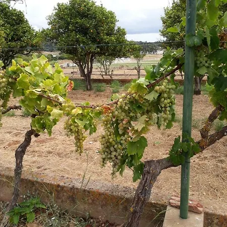 Farm stay Maison Beatriz Lagos